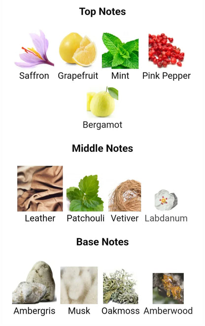 Wild Colt by Assaf – 4 Bottles × 200ml (Total 800ml) | وايلد كولت من أساف – 4 عبوات × 200 مل (إجمالي 800